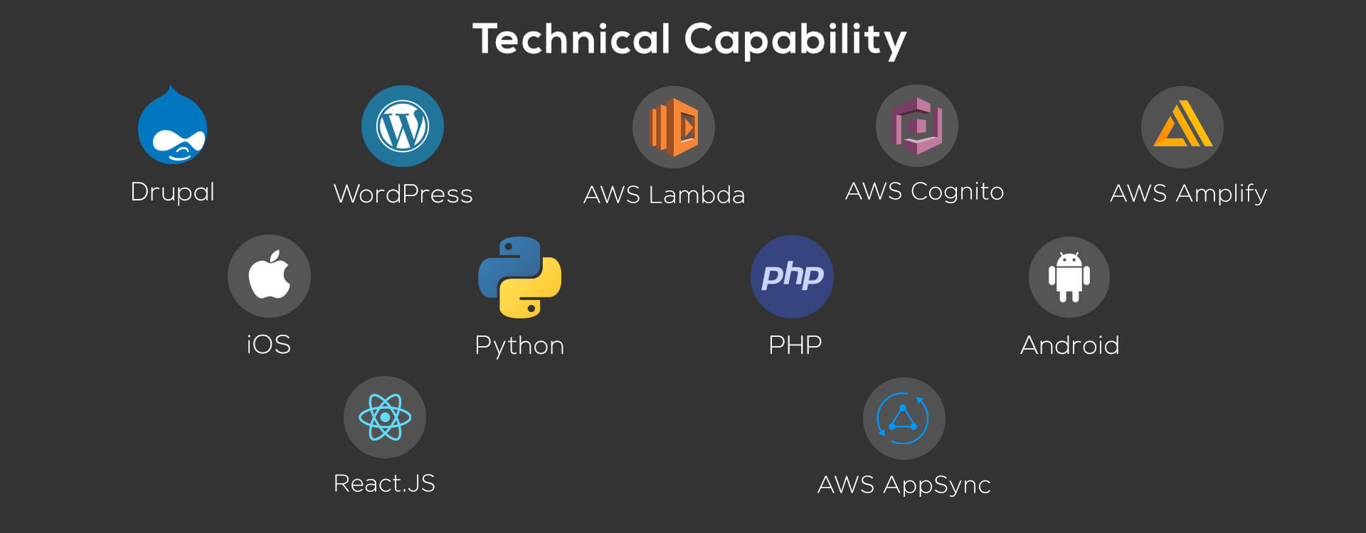 Technology Capability